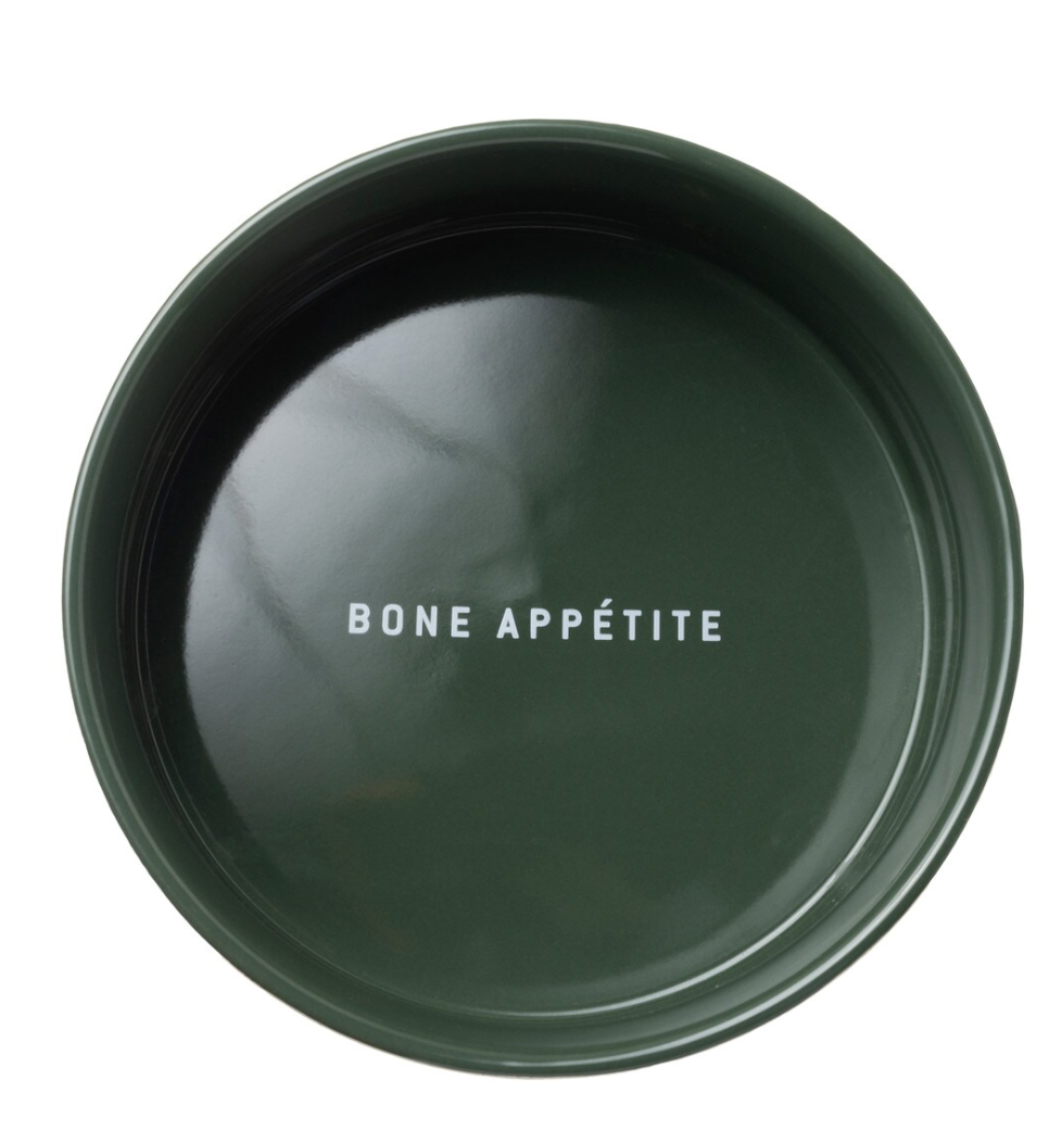 Dog Bowl with Wooden Stand - Green