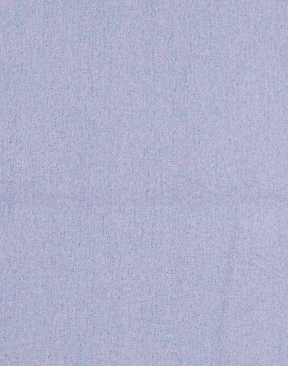 Lilac & Blue Tassel Scarf