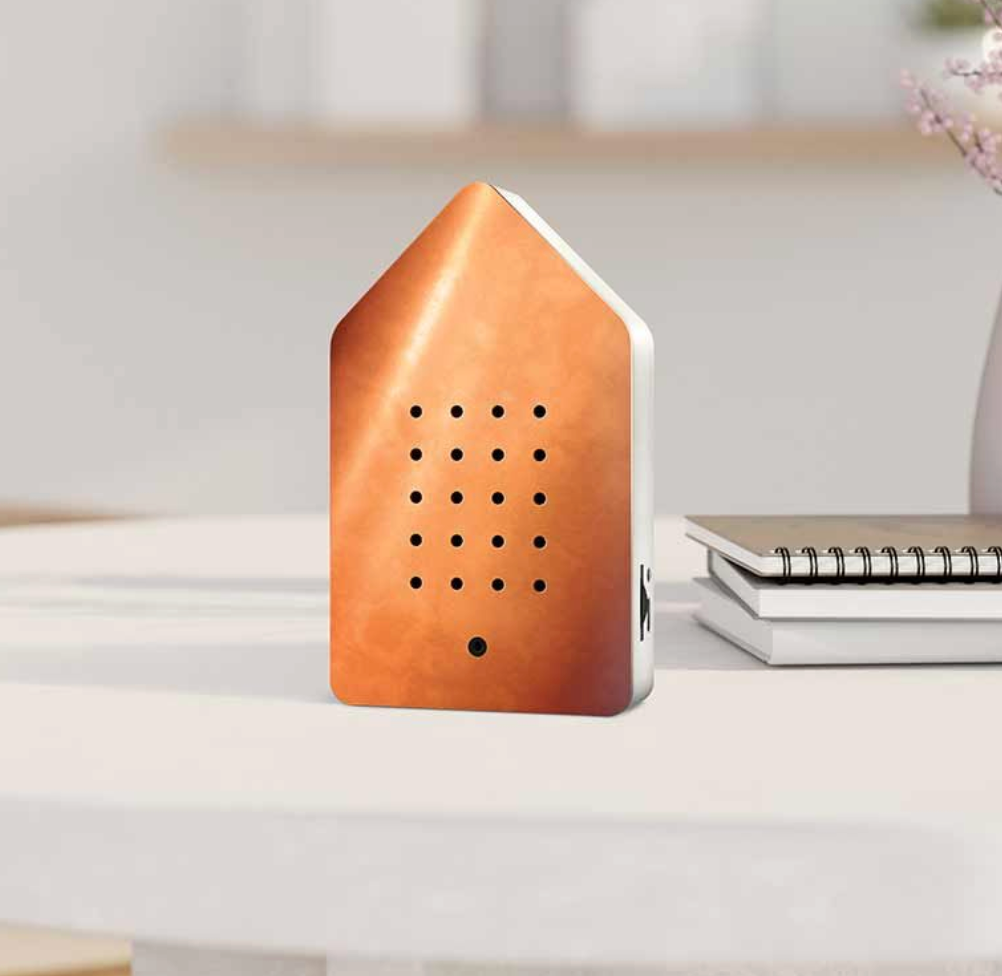 Birdybox Pure Copper