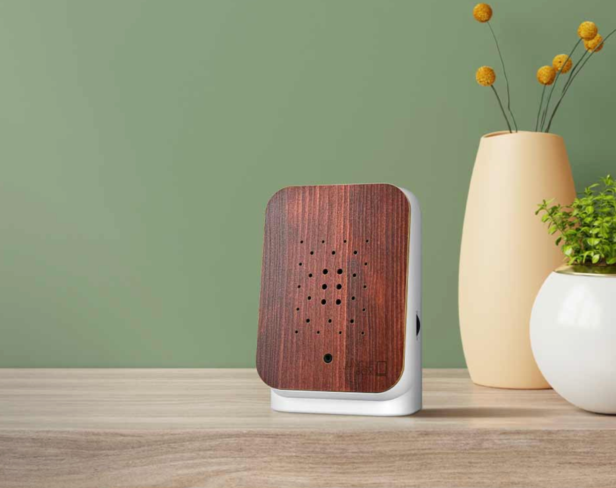 Junglebox Teak