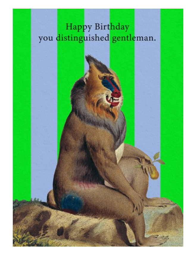 Distinguished Gentleman