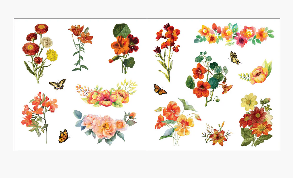 Bunches of Botanical