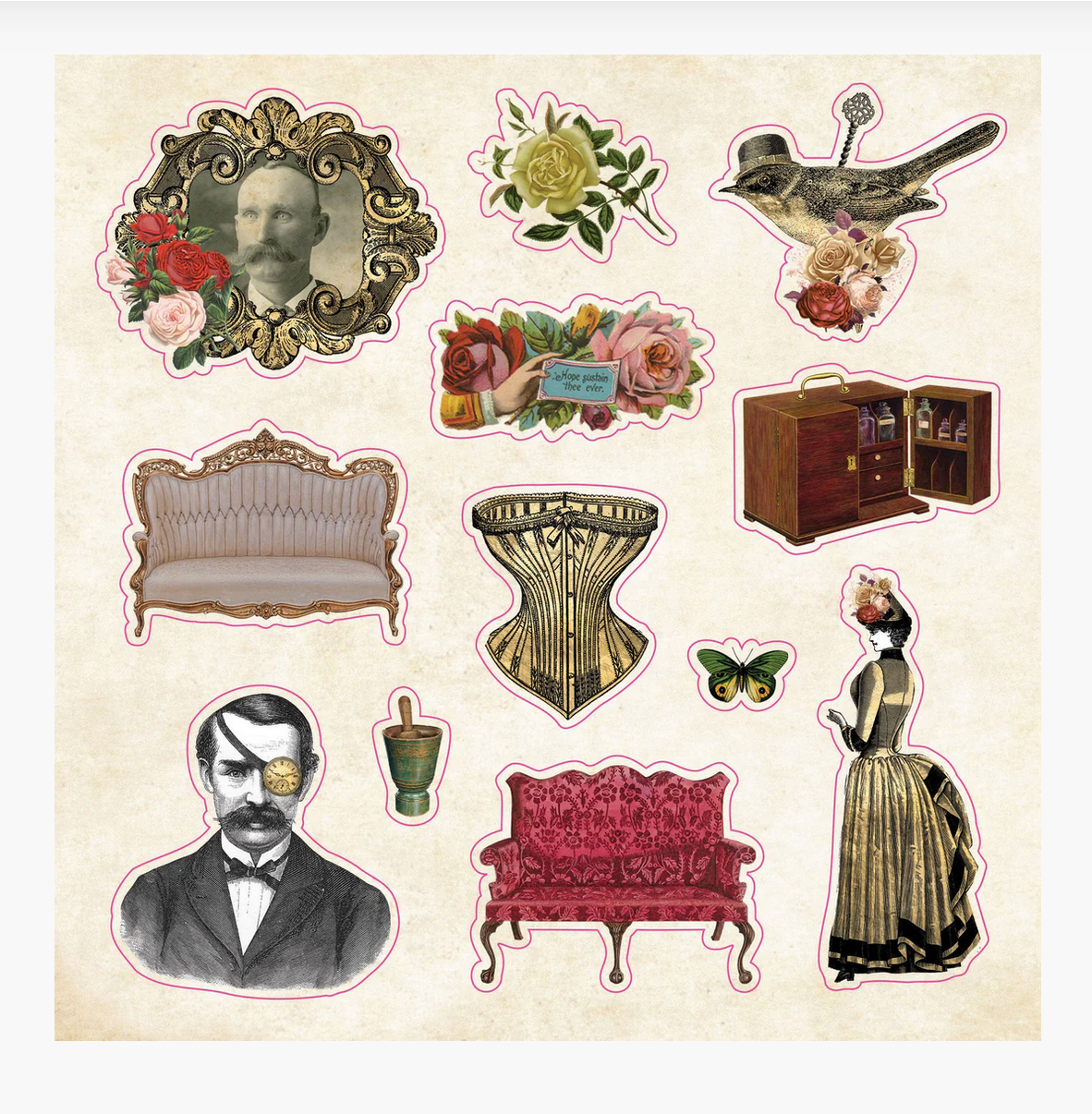 The Sticker Book of Curiosities