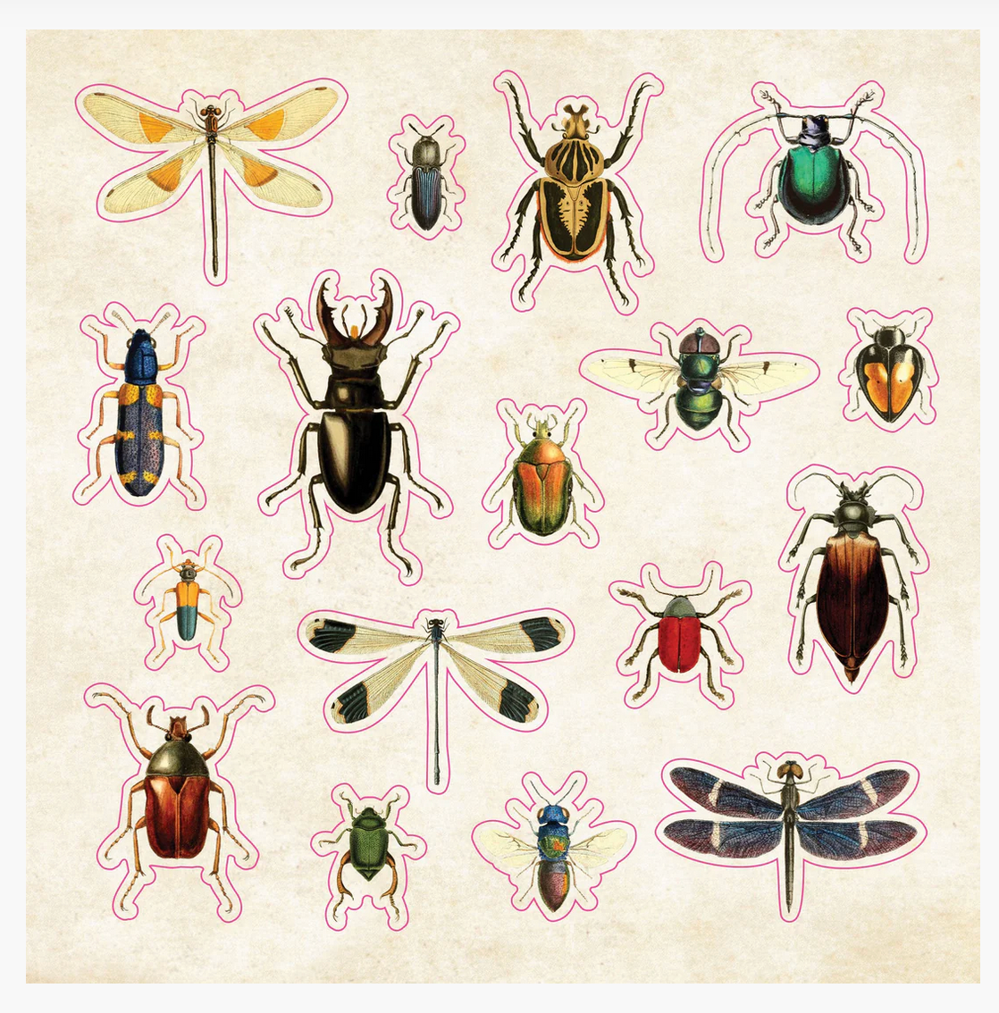 The Sticker Book of Curiosities