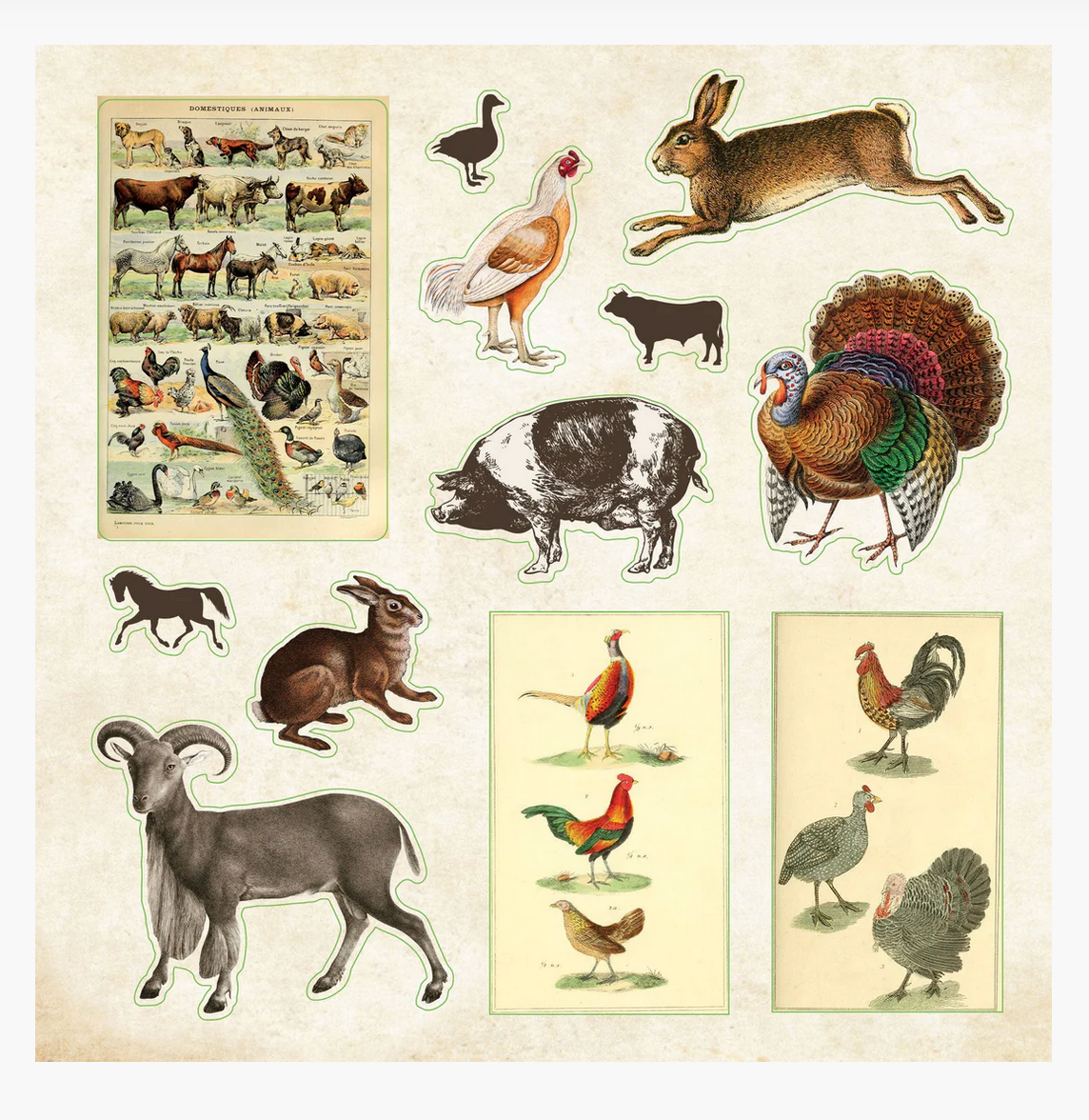 The Zoological Sticker Book
