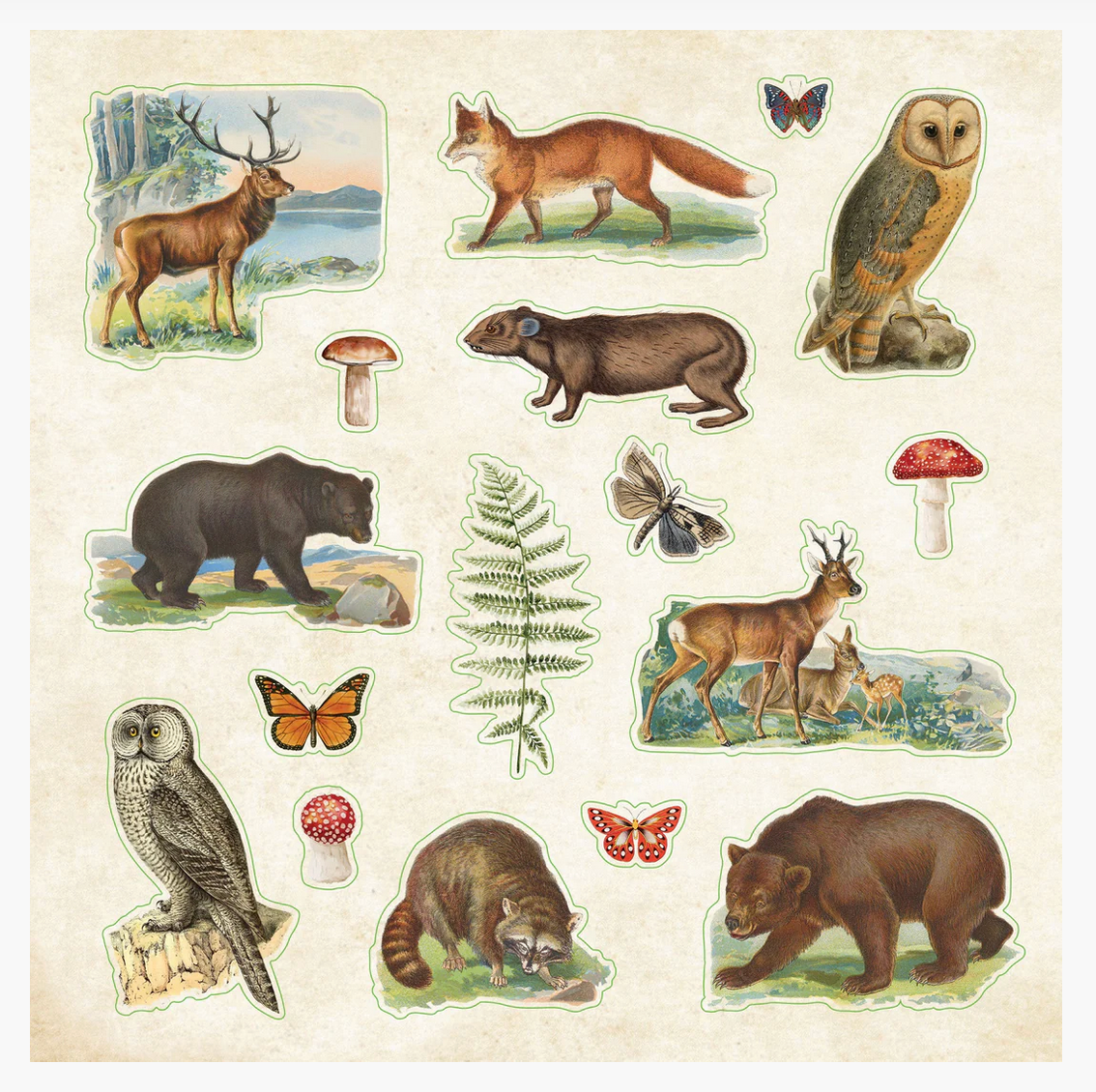 The Zoological Sticker Book