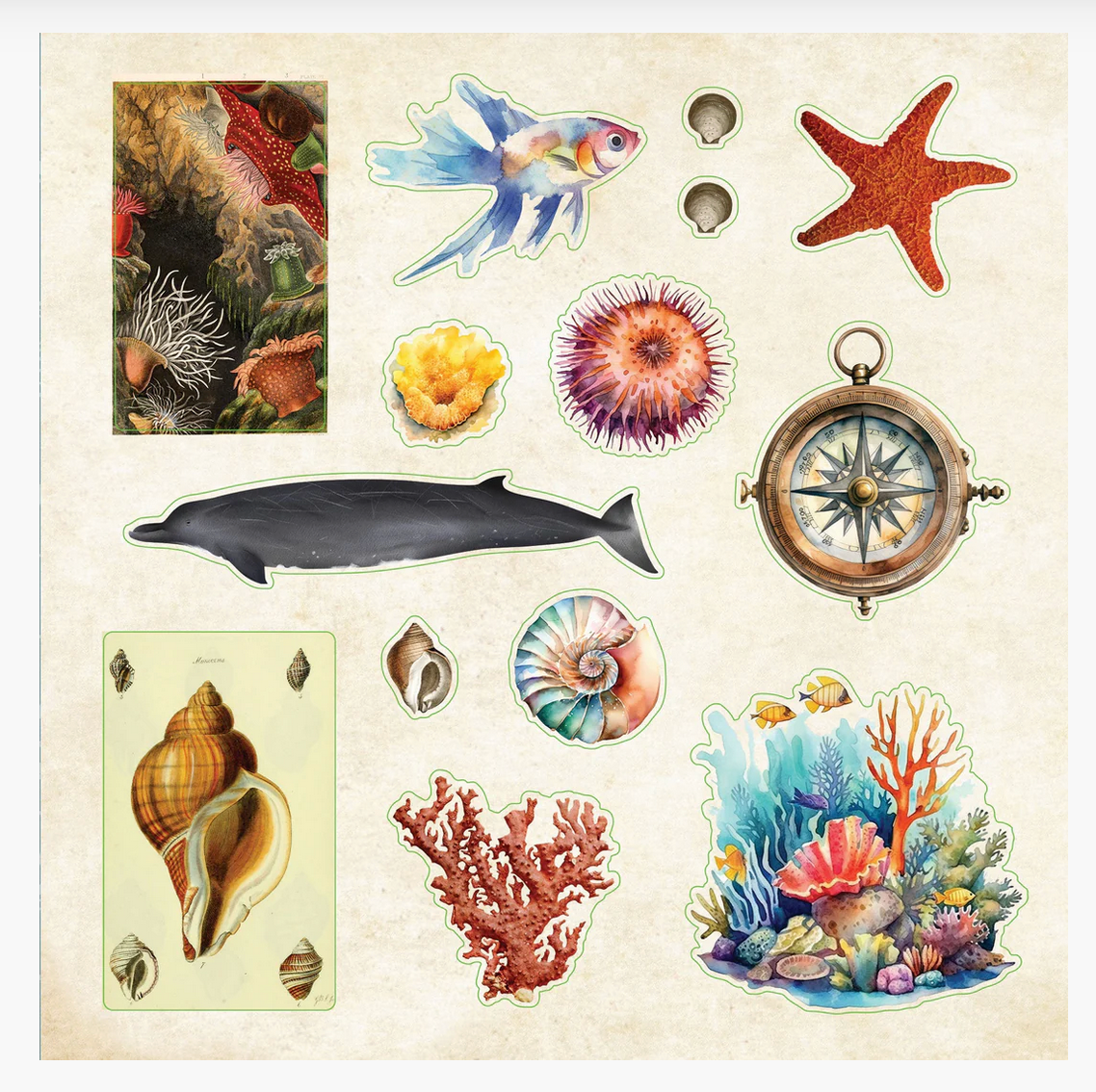 Poseidon's Kingdom Sticker Book