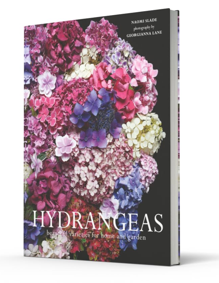 Hydrangeas: Beautiful Varieties For Home And Garden