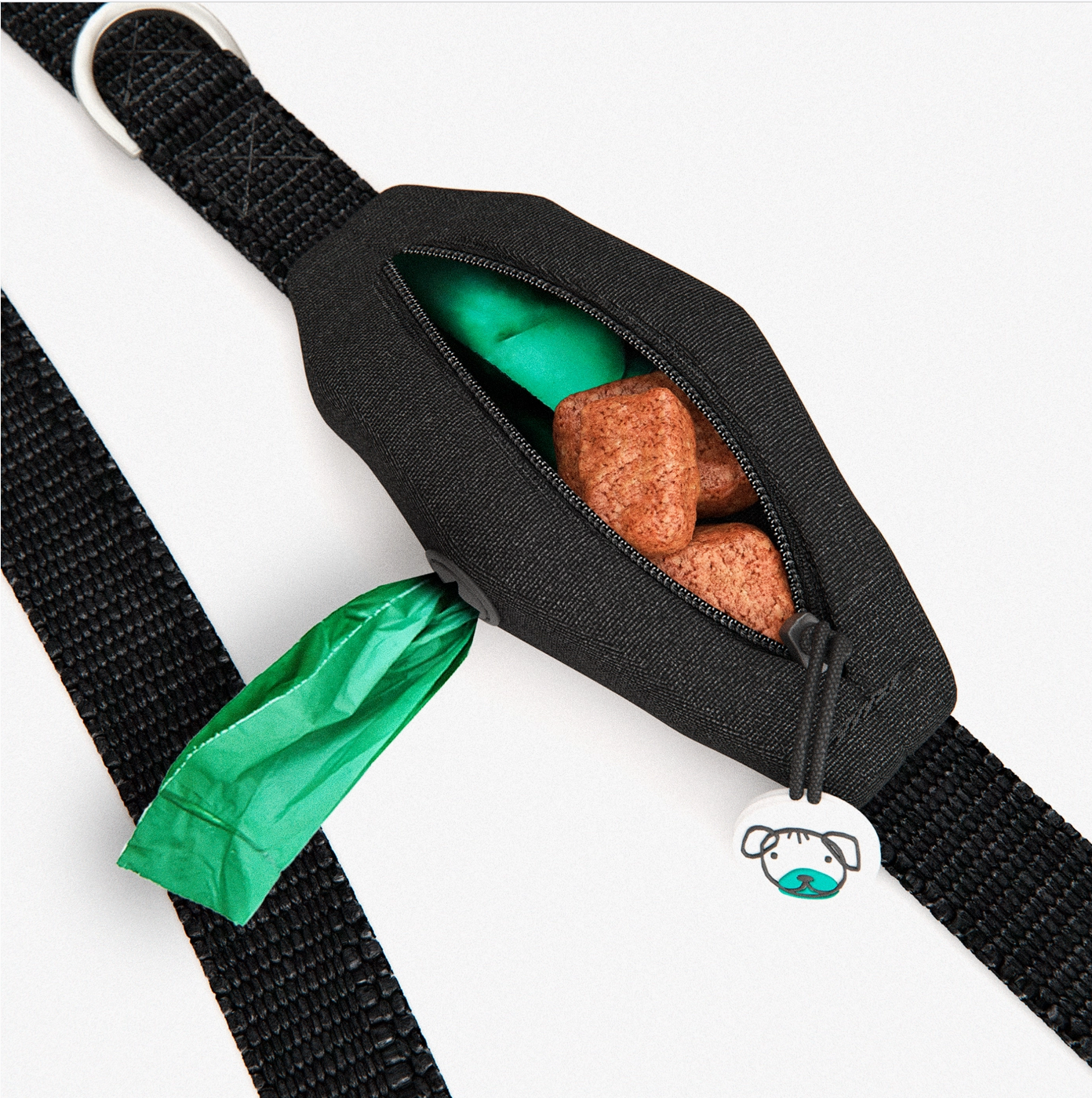 Black Dog Leash with Built-in Poop Bag Holder