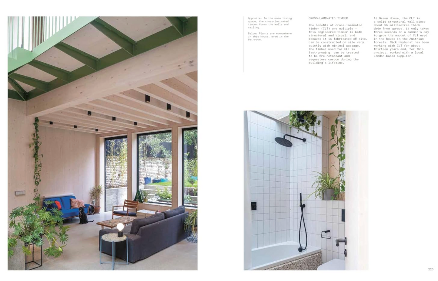 The New Sustainable House