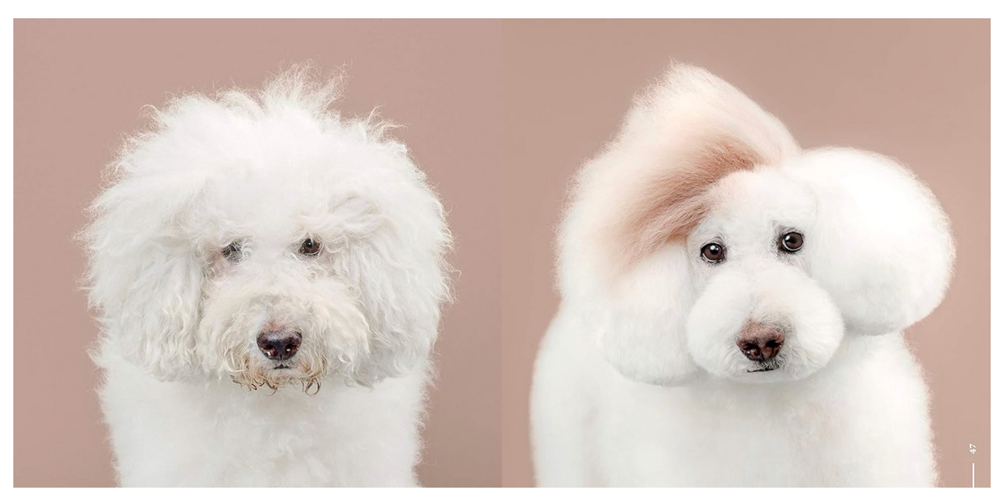 Puppy Styled