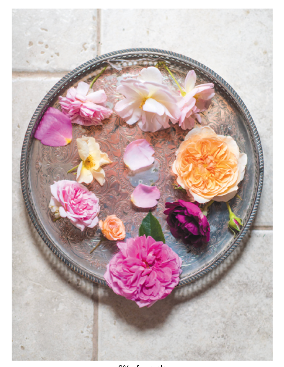 Vintage Roses: Beautiful Varieties For Home