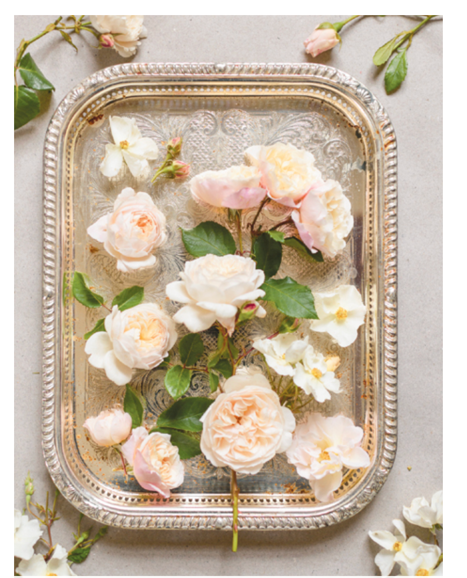 Vintage Roses: Beautiful Varieties For Home