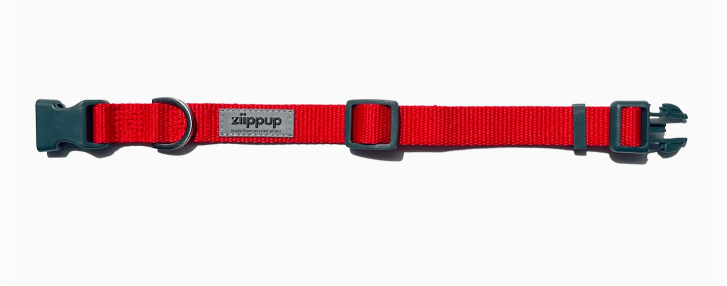 Red Recycled Dog Collar