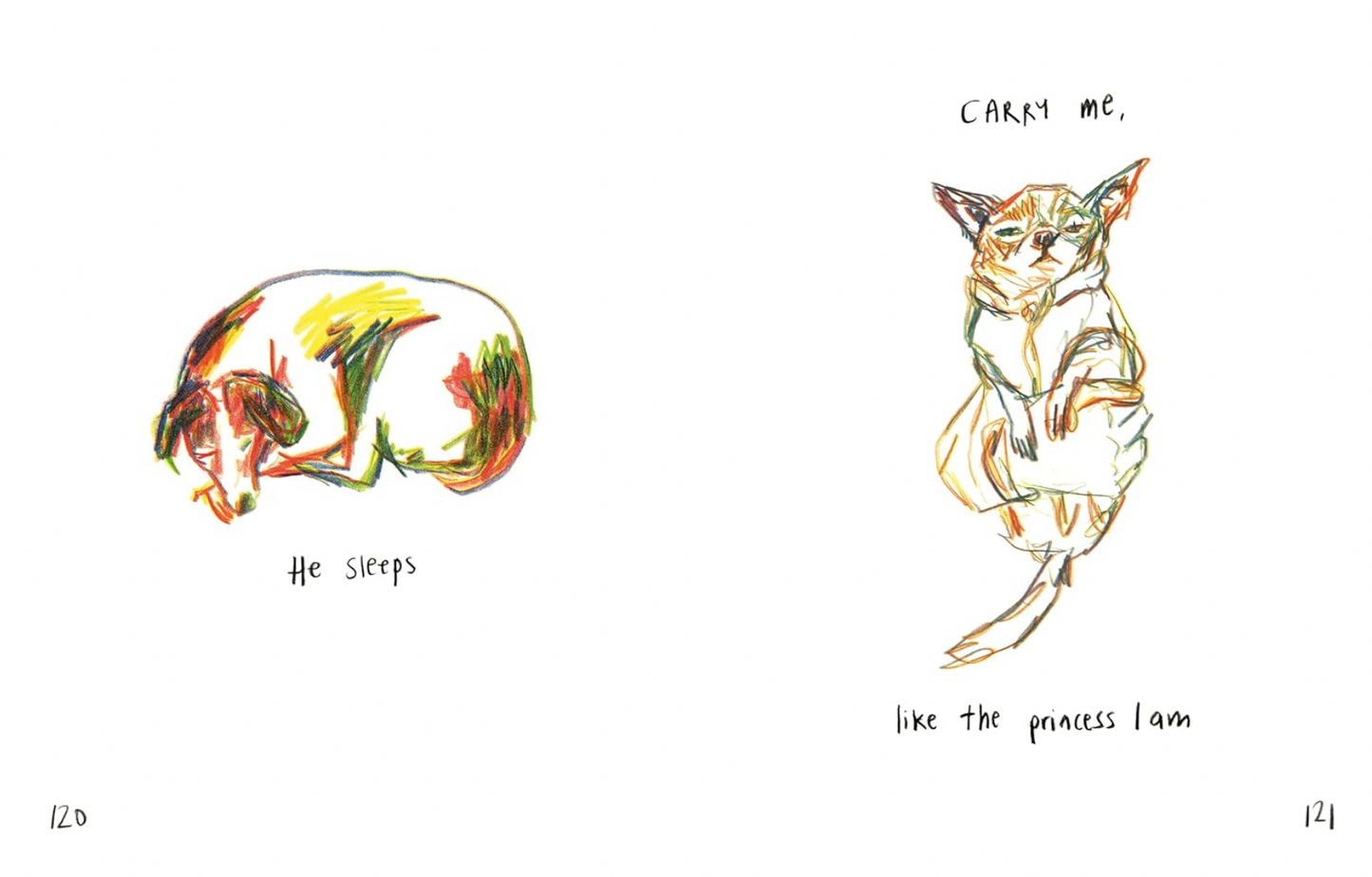 Tell Your Dog I Love Them