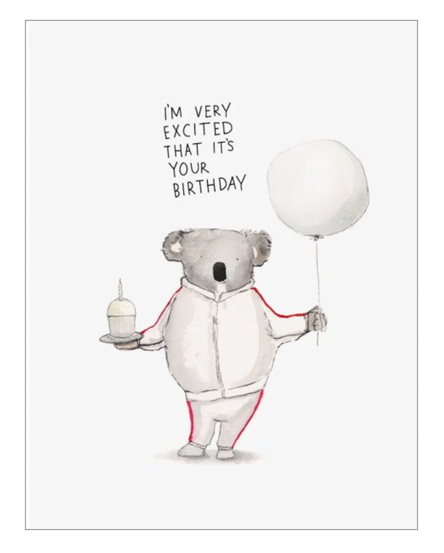 Koala Excitement