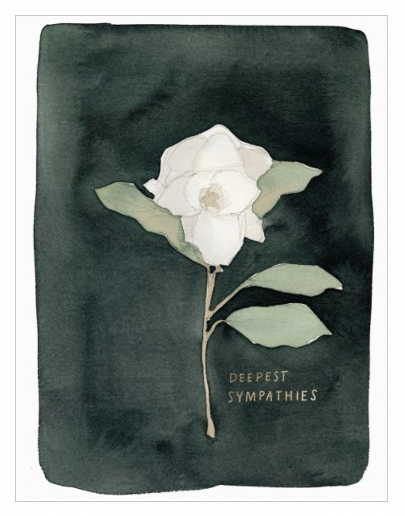 White Flower With Sympathy