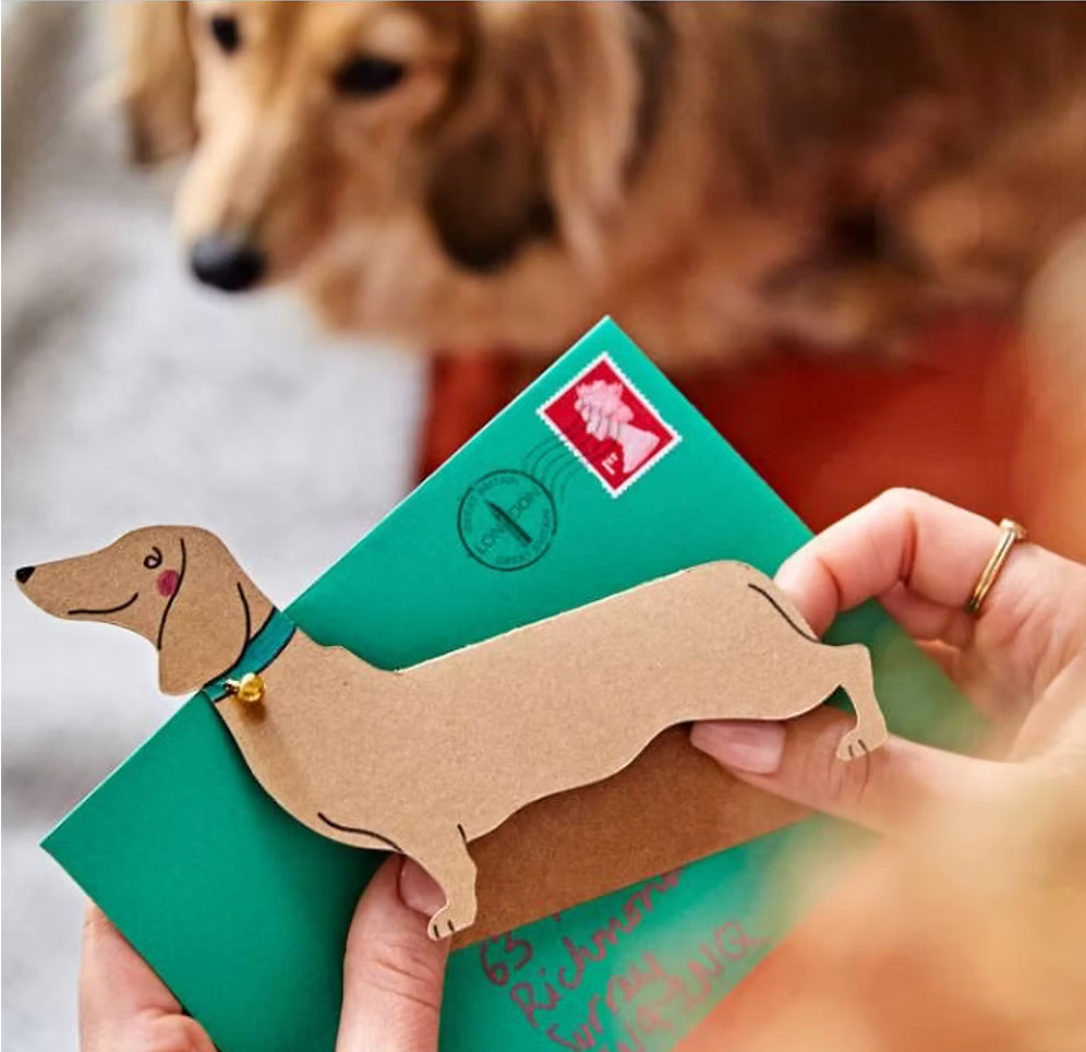 Sausage Dog w/ Gold Bell Greeting Card
