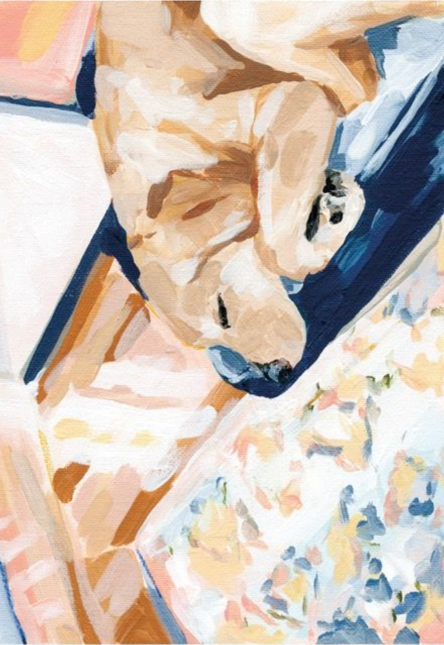 Studio Dog by Sabina Fenn