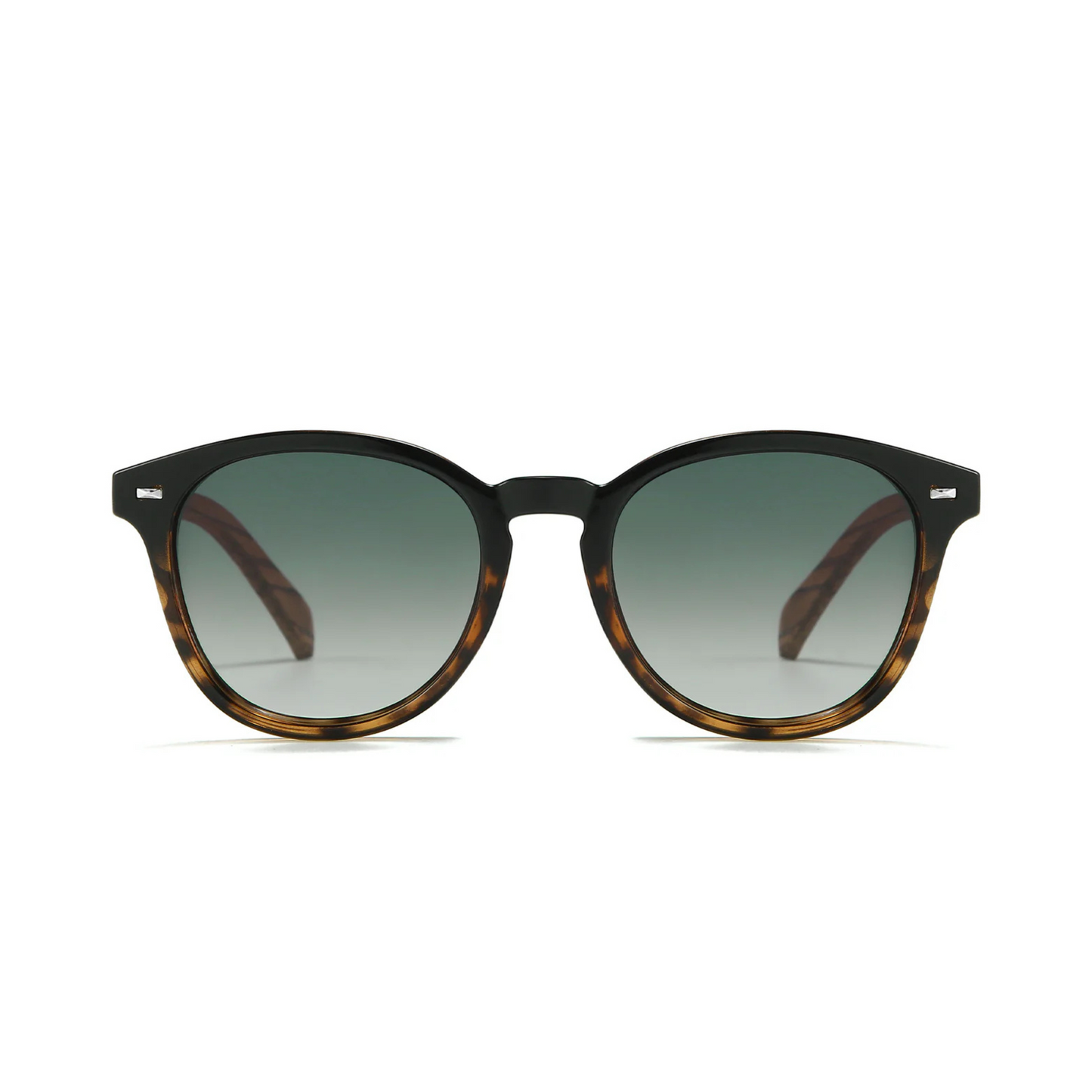Taine Black/Tort Sunglasses