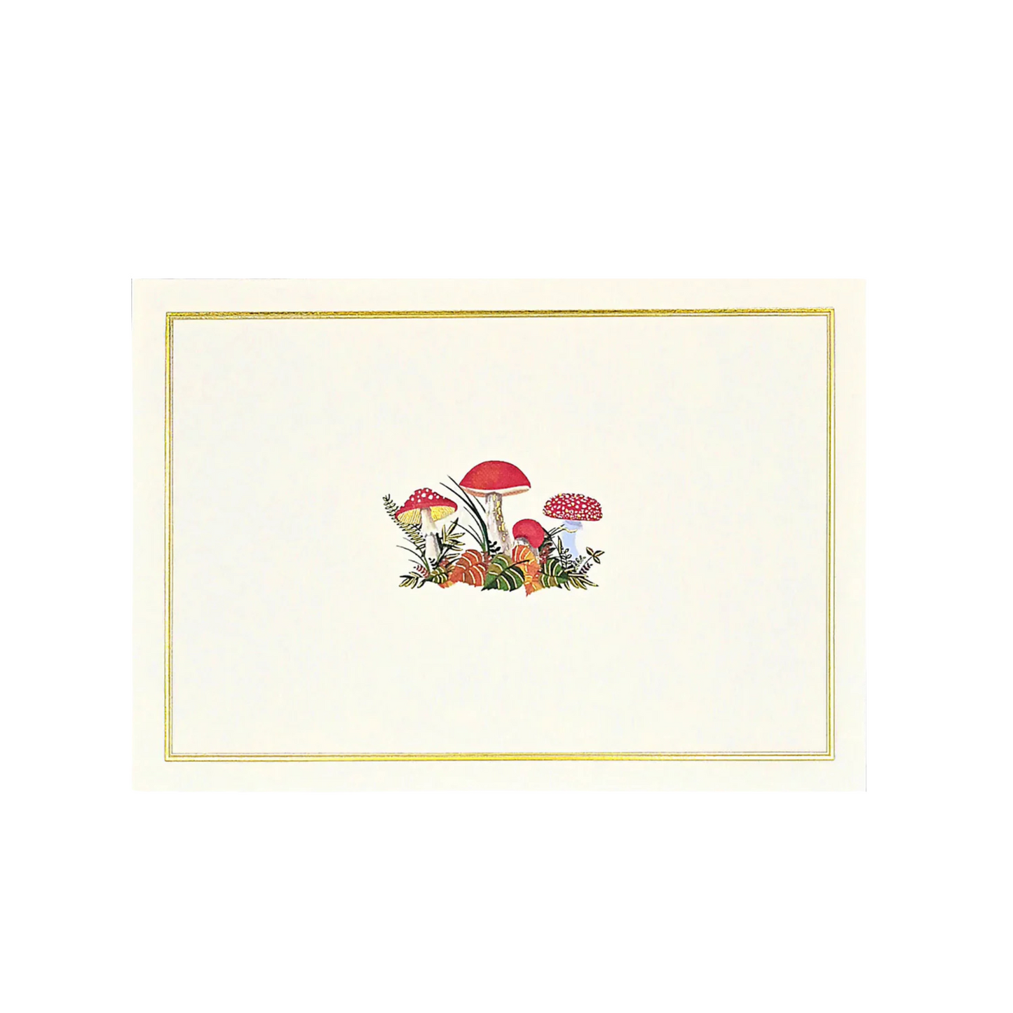 Mushroom Note Cards