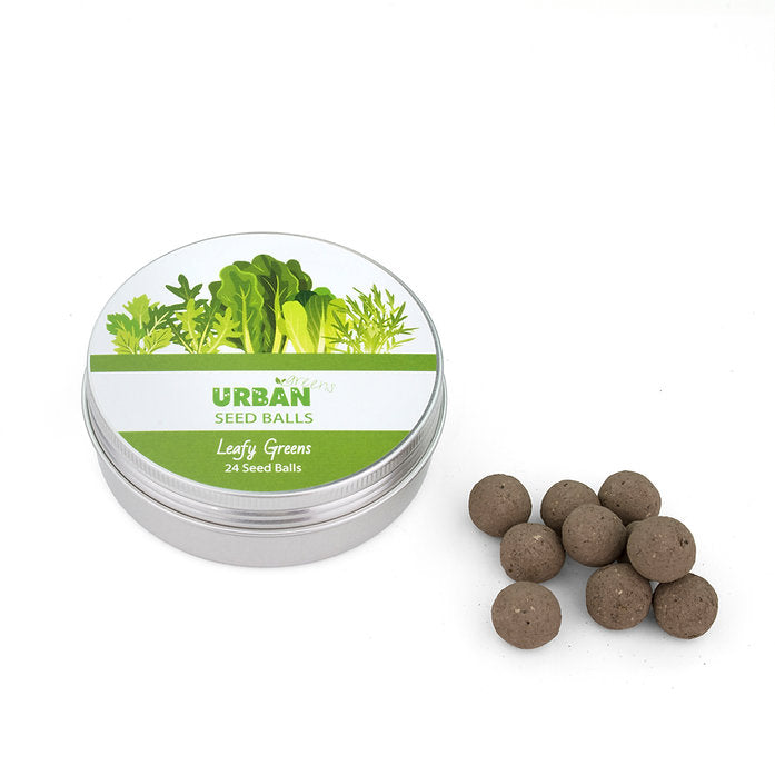 Urban Seed Balls