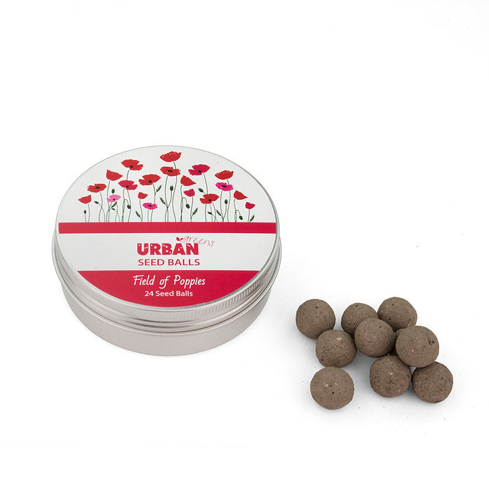 Urban Seed Balls