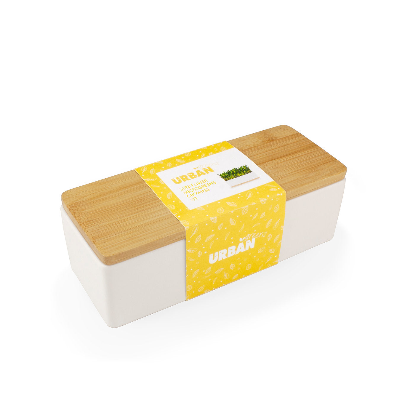 Sunflower Sprouts Mini Garden