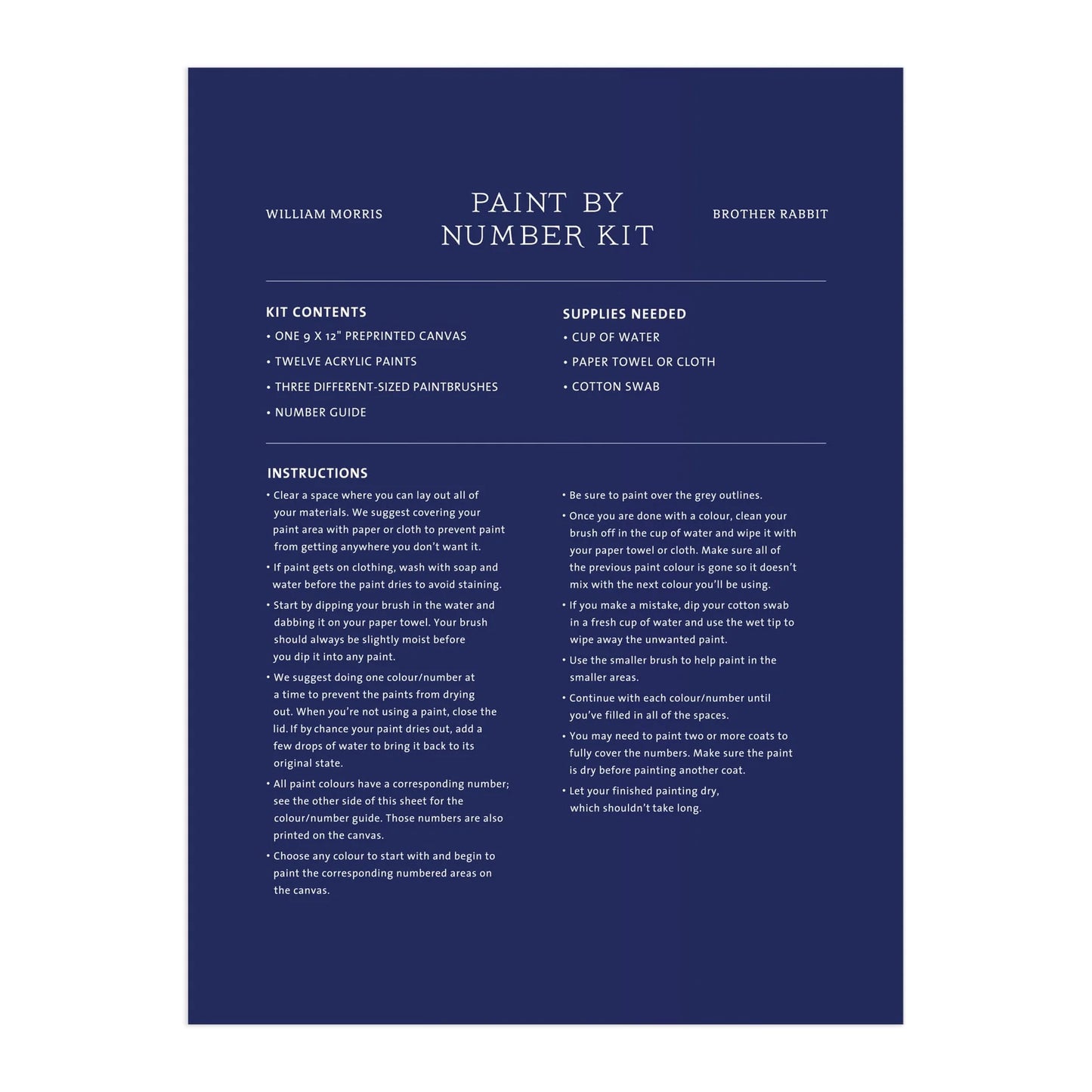 Brother Rabbit Paint by Number Kit