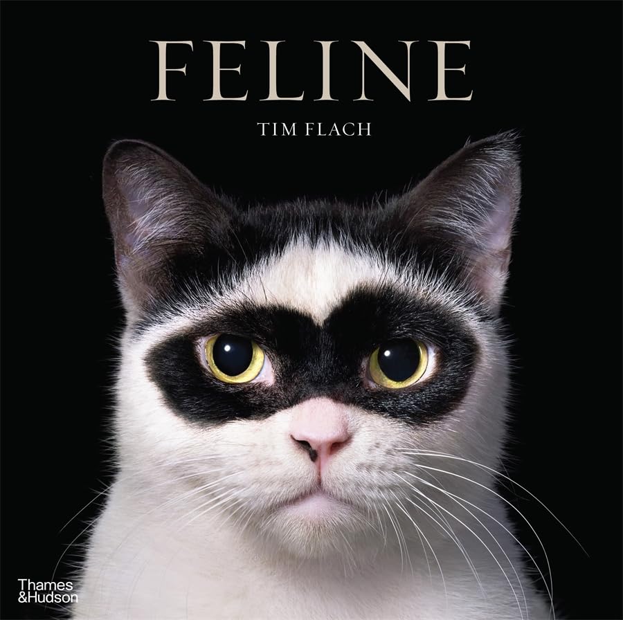 Feline