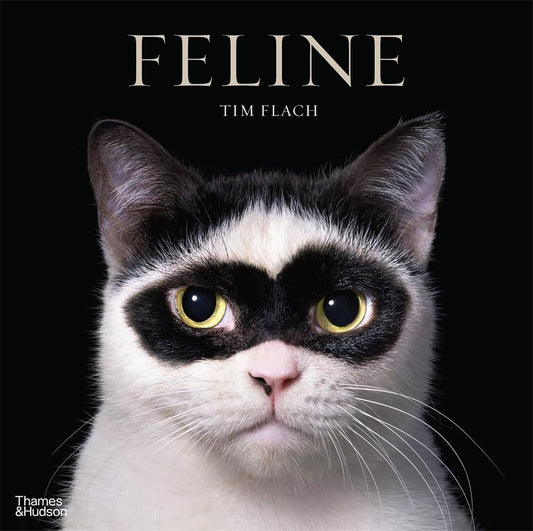 Feline