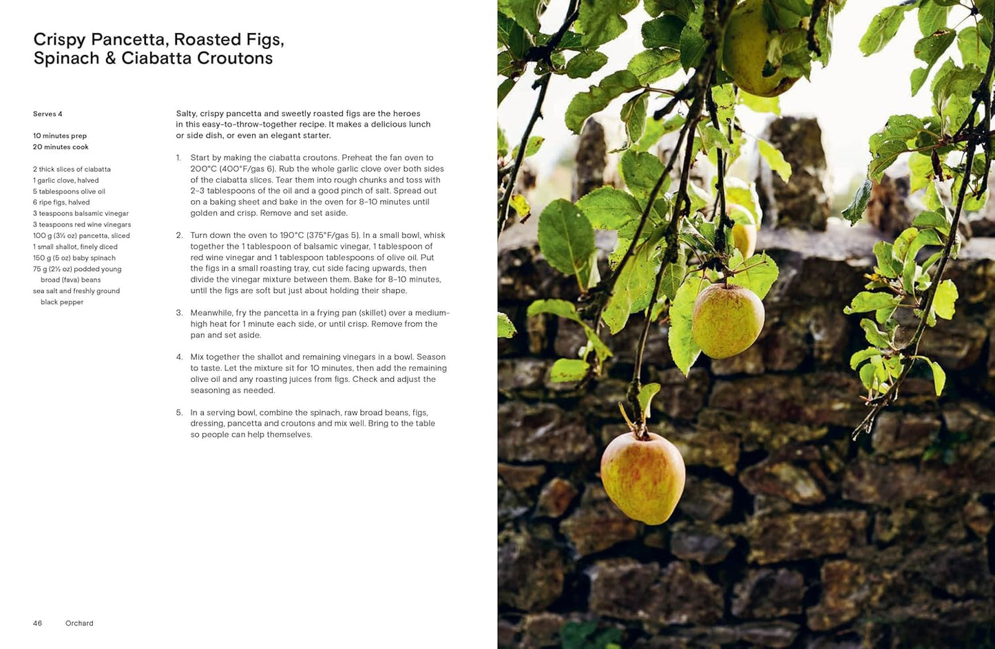 Orchard: Sweet and Savoury Recipes from the Countryside