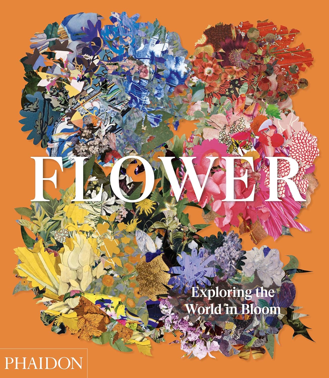 Flower: Exploring the World in Bloom