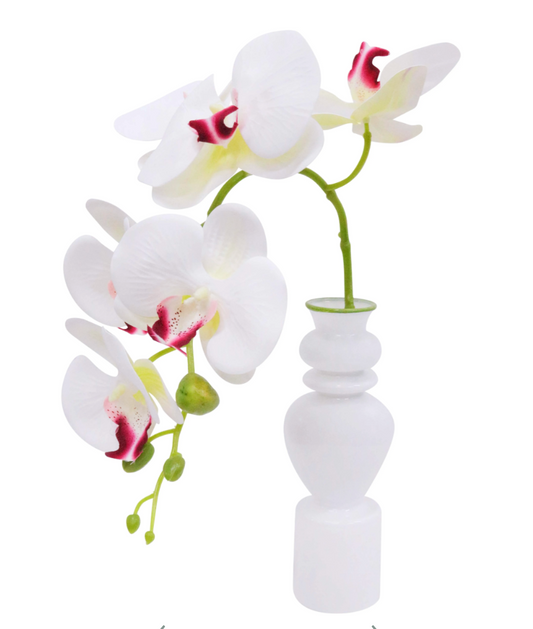 Bud Vase White