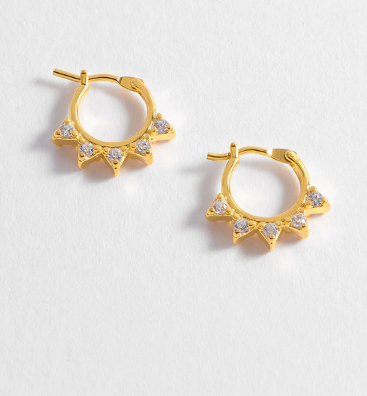 CZ Bunting Hoops