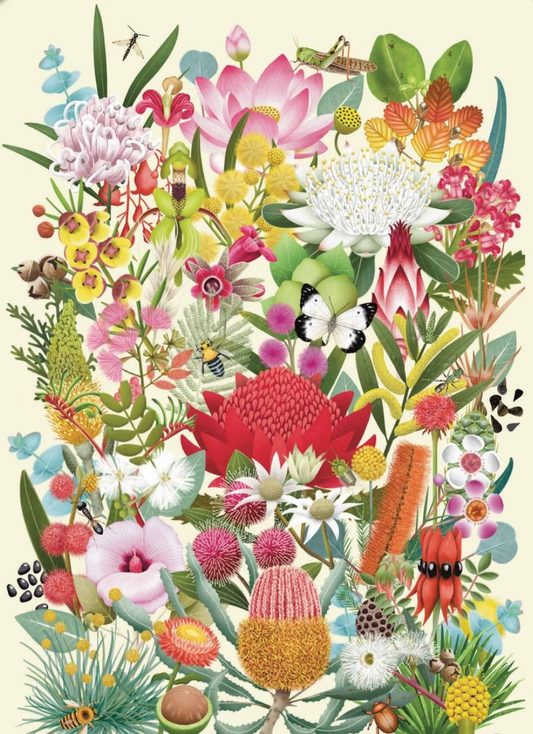Australian Native Flowers, Bee & Butterfly - Tania McCartney