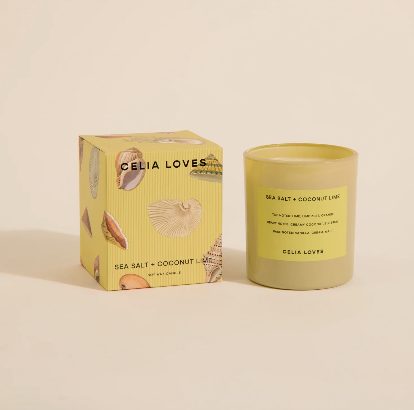 Sea Salt & Coconut Lime Candle