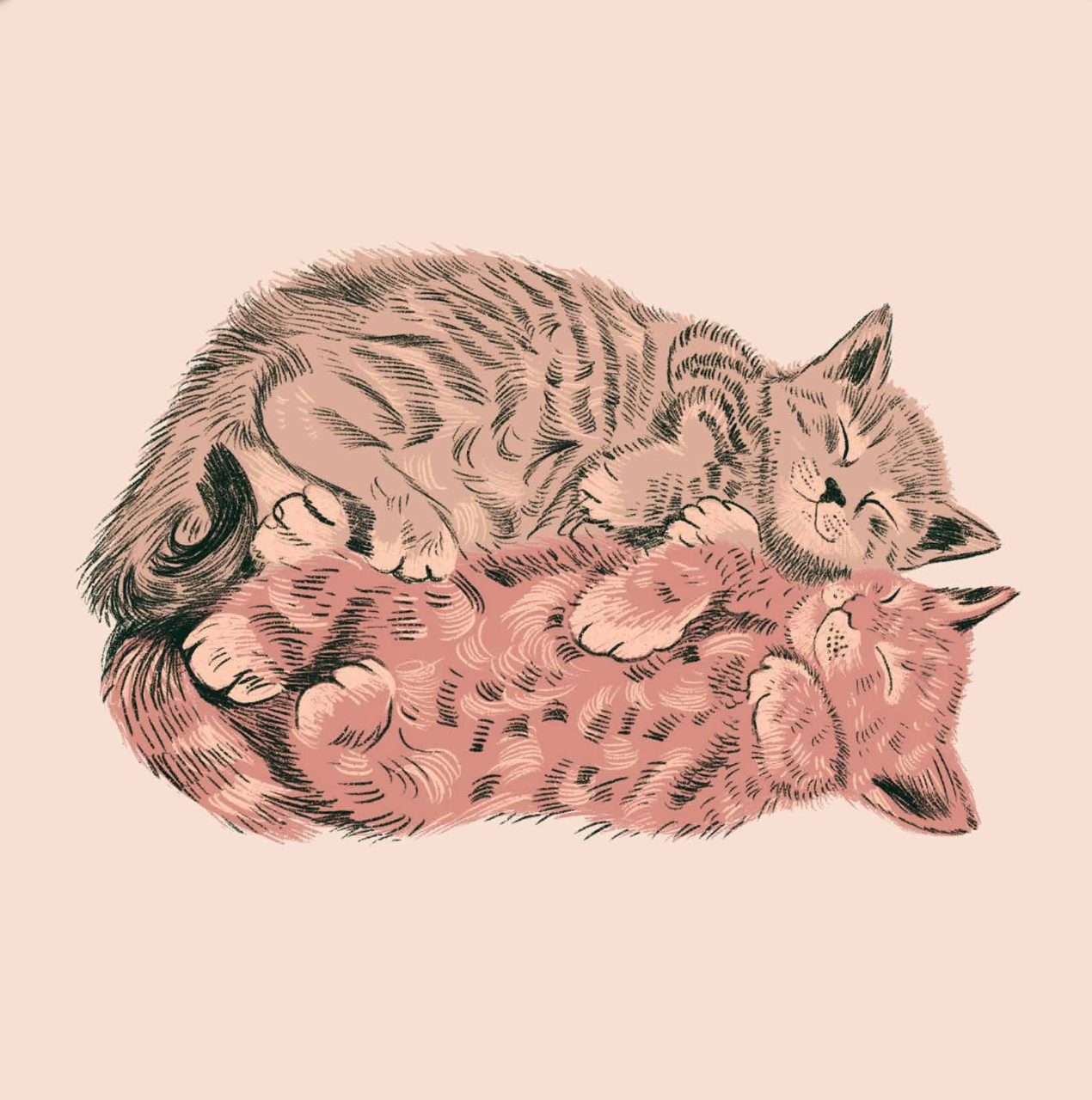 Cozy Cats - Alissa Levy