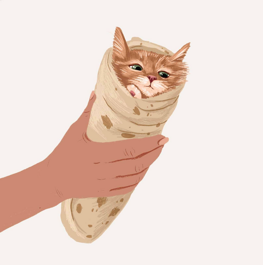 Purrito - Alissa Levy