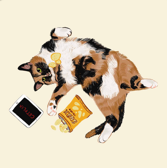 Catflix & Snacks - Alissa Levy