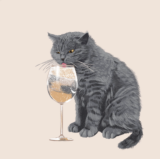 Burmese Cat Enjoying Prosecco - Alissa Levy