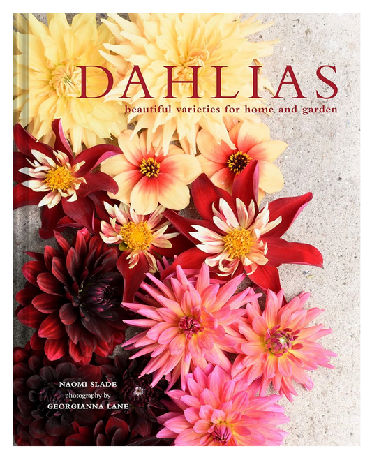 Dahlias