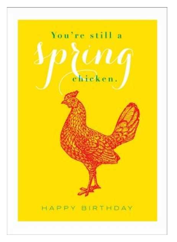 Spring Chicken