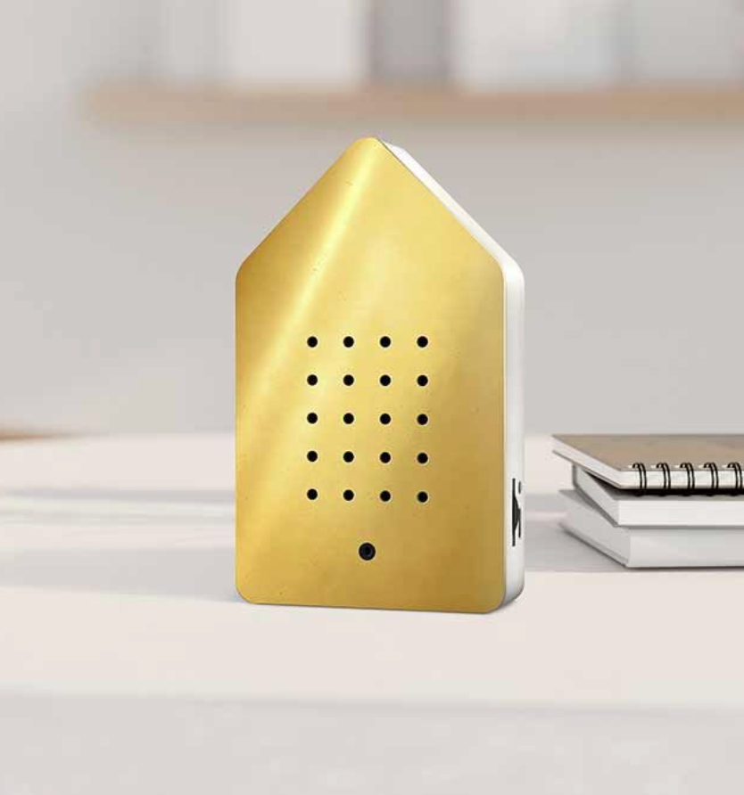 Birdy Box Golden Brass