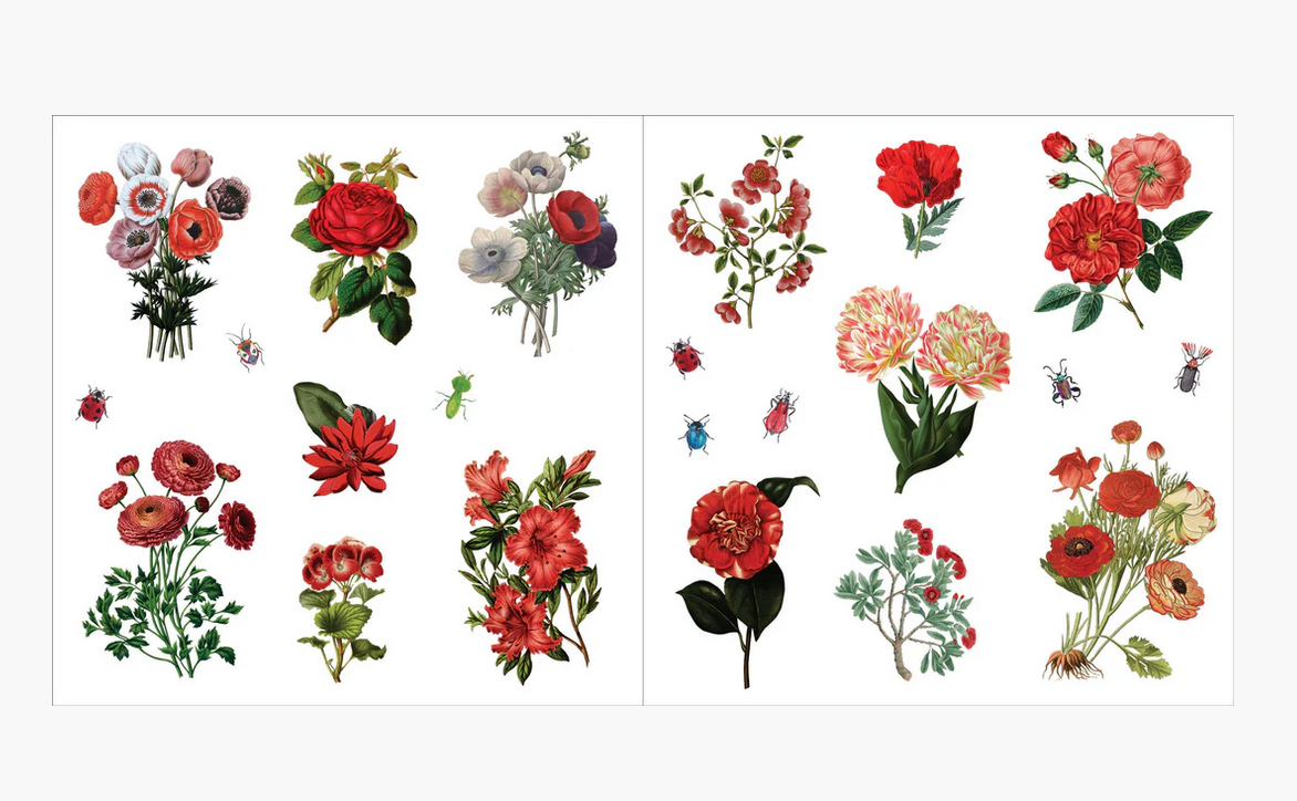 Bunches of Botanical