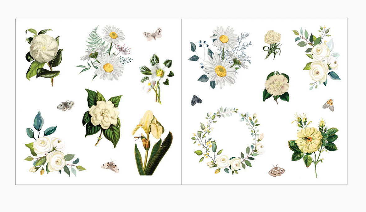 Bunches of Botanical
