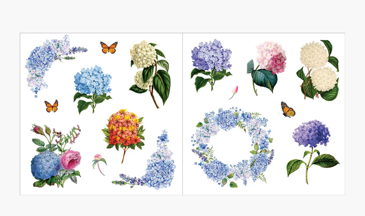 Bunches of Botanical