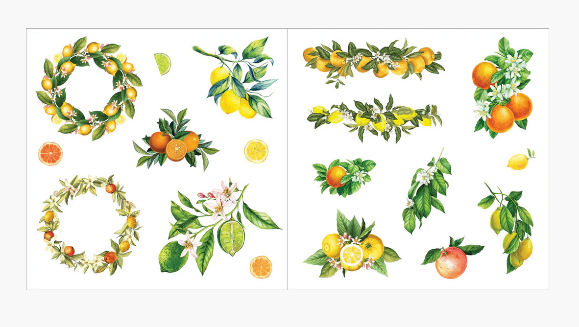 Bunches of Botanical
