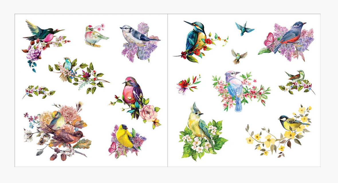 Bunches of Botanical