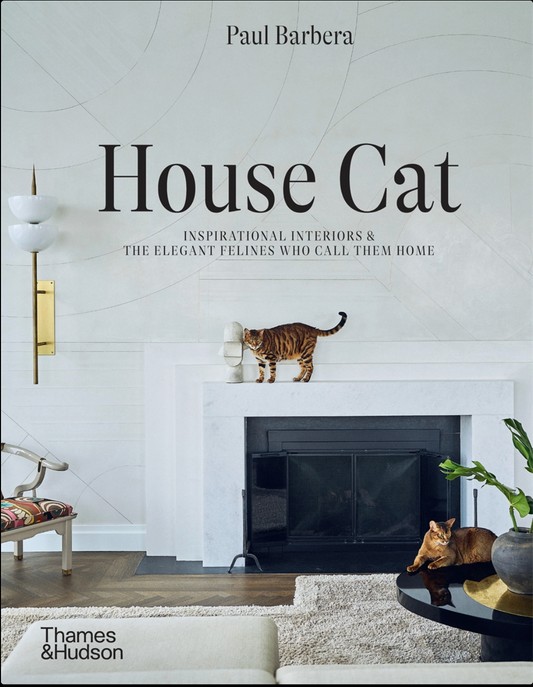 House Cat